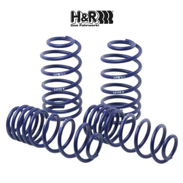 H&R AUDI 80 B3 893-894 / 1.8