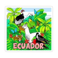 Pin Up Ecuador